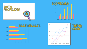 steps implemented by data Quality tools